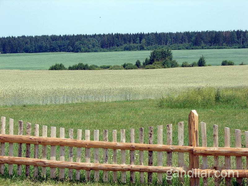 Дудутки. Природа