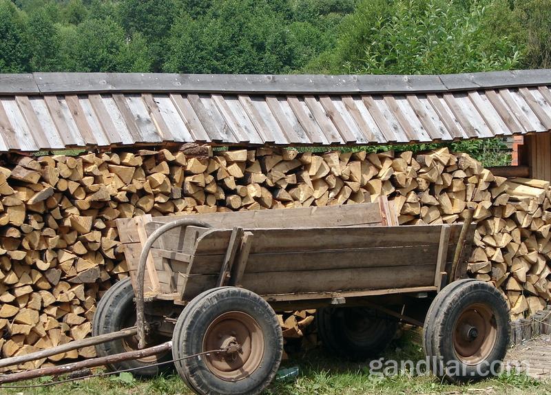 Дудутки. Поленница