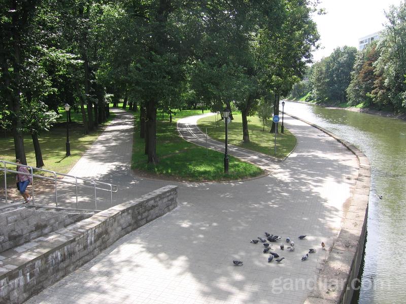 парк Горького в Минске. Фотография природы