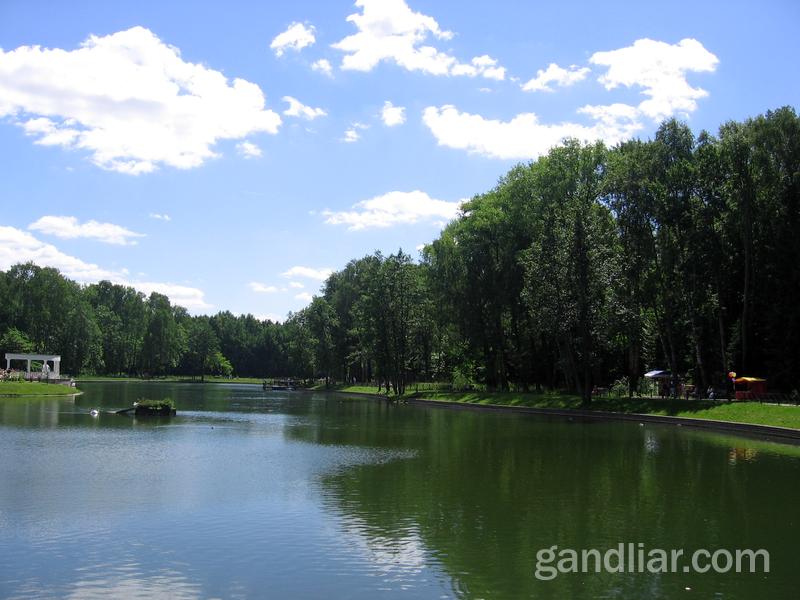 В глубине ботанического сада есть красивое озеро с лебедями