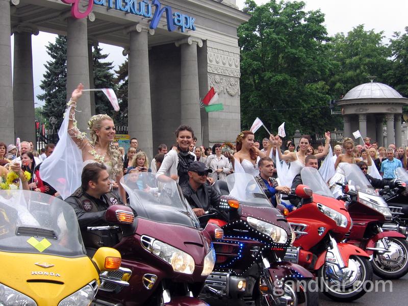Парад невест-2011. Парк Горького в Минске веселится!