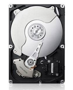   HDD 1000Gb Samsung HD103SJ.  