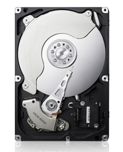 Жесткий диск HDD 1000Gb Samsung HD103SJ